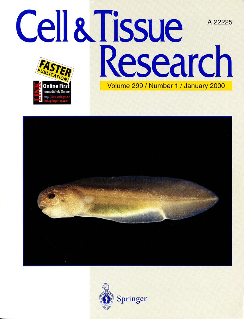 Cell &amp; Tissue Research, Volume 299, Number 1, January 2000