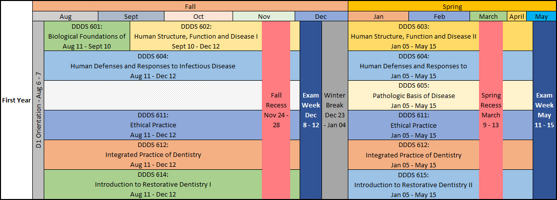 first-year-curriculum.jpg